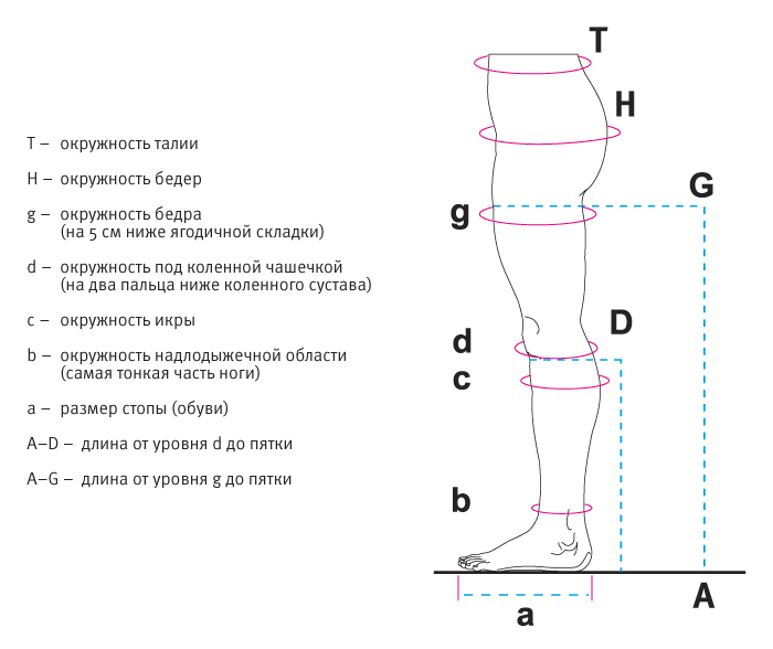 Окружность лодыжки фото